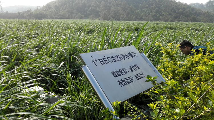 092ac4395b4d4e9bf66915c005eccc08.png 092ac4395b4d4e9bf66915c005eccc08.png
