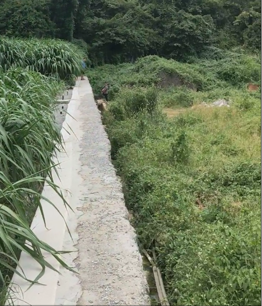 36778e74b19ad4c93869d604debab499.png 36778e74b19ad4c93869d604debab499.png