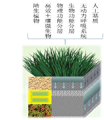faacff360abe7f4896bfe03954fd7c78.png